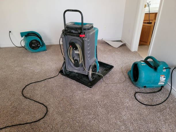 Best 24-hour water damage restoration  in Fruitland, IA
