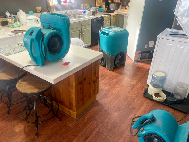 Best Fire Damage Restoration  in Fruitland, IA