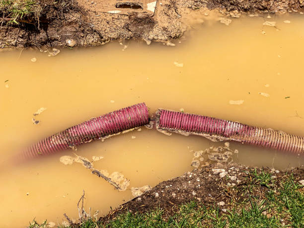 Best Water damage restoration near me  in Fruitland, IA